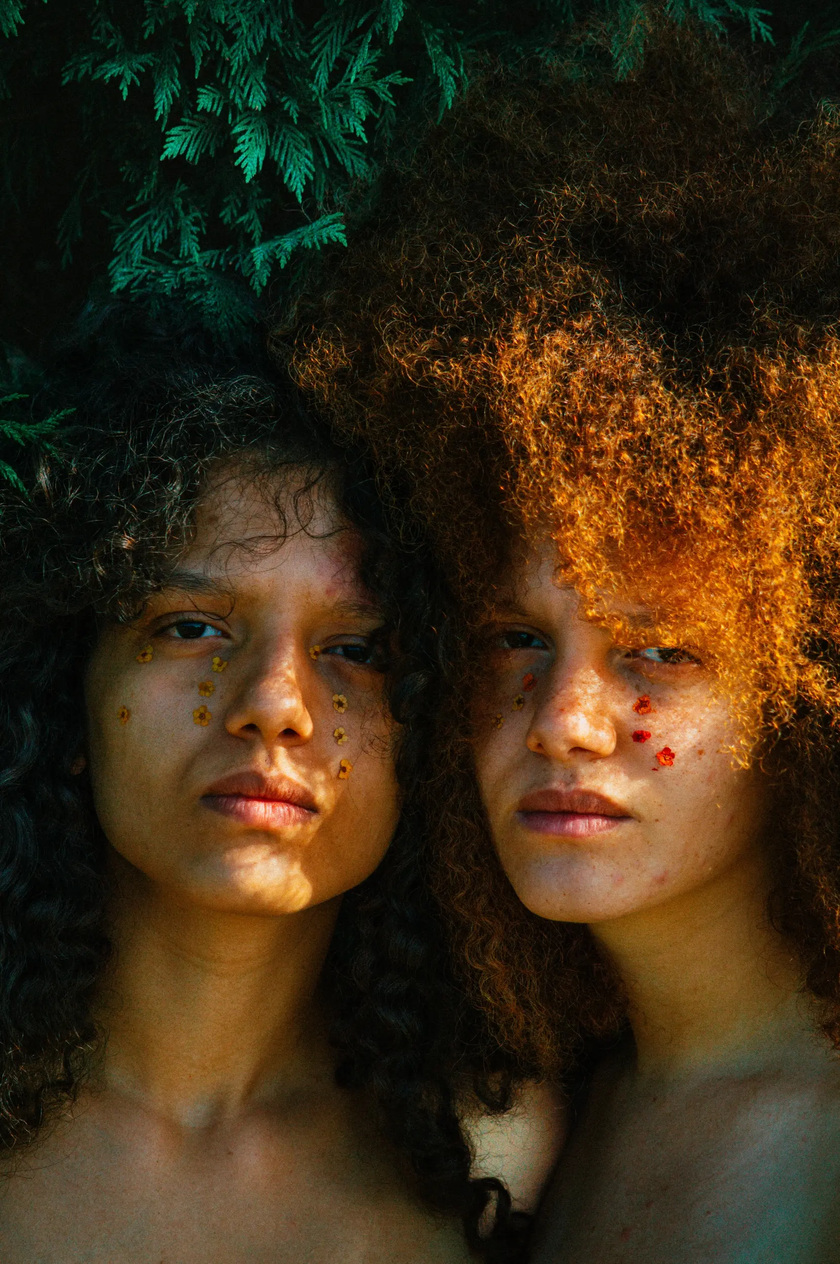 Malaka ©Léo Ferrera