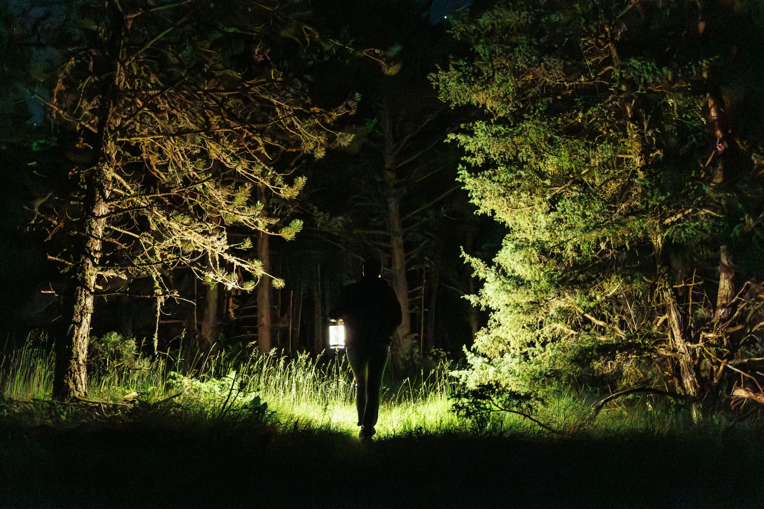 Les Arts Oseurs ©Kalimba